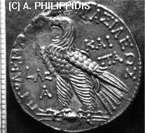 rare Ptolemy VI / Ptolemy VII coin © A. Philippidis
